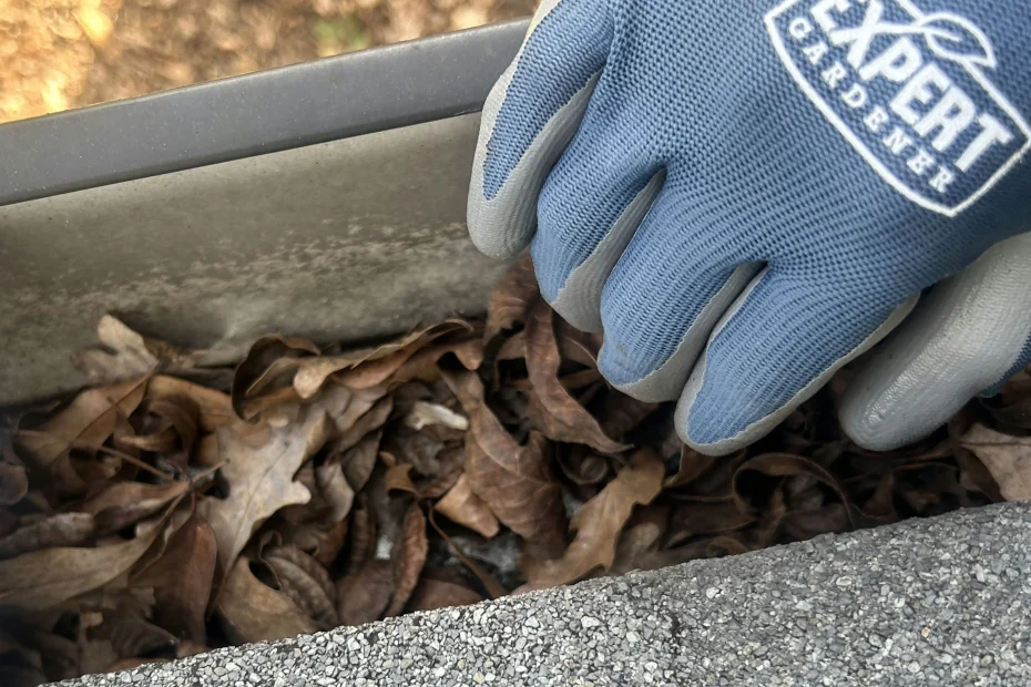 Gutter Cleaning Cocoa Beach FL