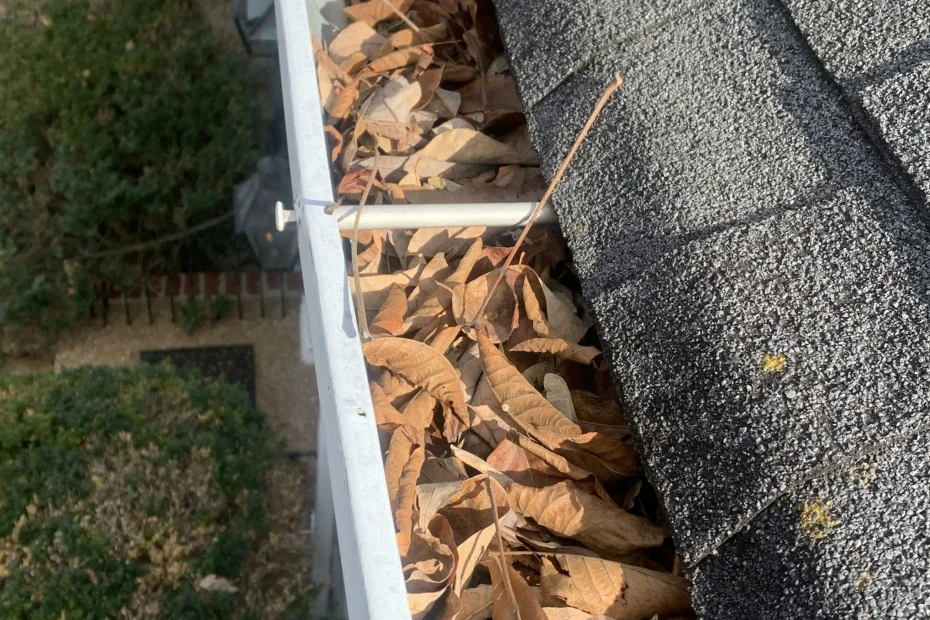 Gutter Cleaning Cocoa Beach FL