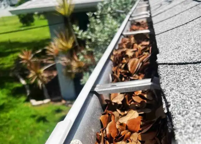 Gutter Cleaning Cocoa Beach FL home page